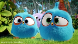 انیمیشن پرندگان خشمگین آبی قسمت 20 - angry birds blue